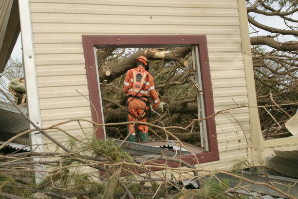 Best Root Management and Removal  in Bayou Vista, LA